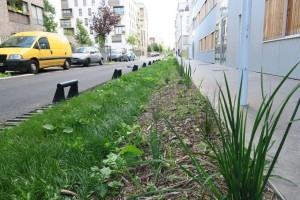 Noue, Nanterre, crédit Caroline Kim
